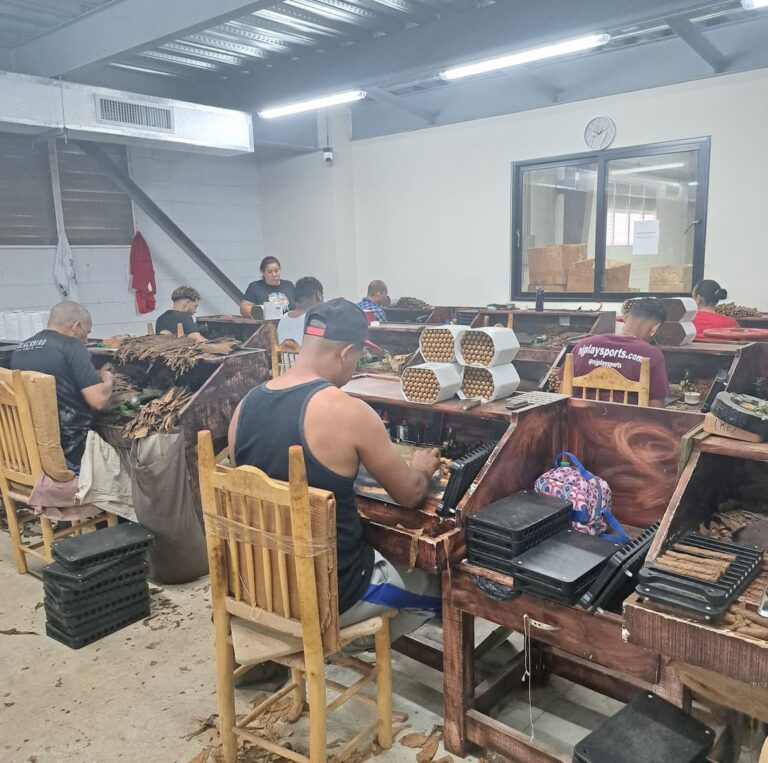 Cigar rollers rolling cigars in a small room